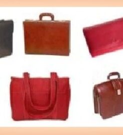 Apex Leather Goods- Apex Intergobal Pvt Ltd