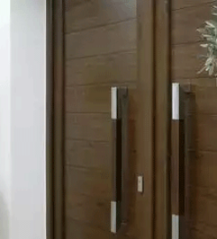 Bhavani Flush Doors