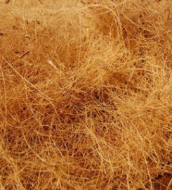 Afsar Coir Exports