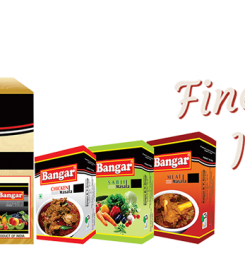 Bangar Spices | spices manufacturing