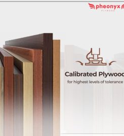 Pheonyx Plywood