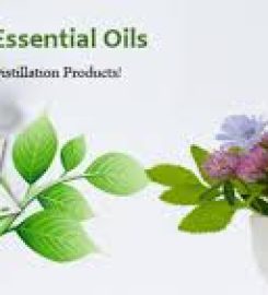 Ifragrance India – Essential Oil Manufacturers