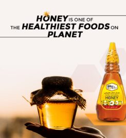 Brij Honey Pvt. Ltd.