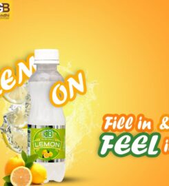 Gandhi Beverages