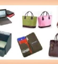 Apex Leather Goods- Apex Intergobal Pvt Ltd