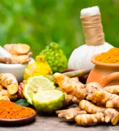 SHREE HERBAL