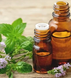 SHREE HERBAL