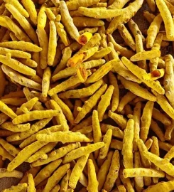 BHAKTI FOODS & SPICES | Turmeric Forms