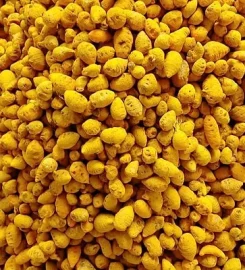 BHAKTI FOODS & SPICES | Turmeric Forms