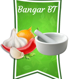 Bangar Spices | spices manufacturing