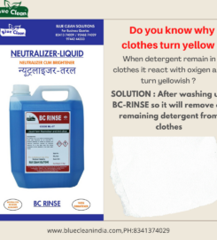 BLUE CLEAN SOLUTIONS