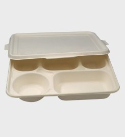 Cure Earth Products | Bio-degradable bagasse products