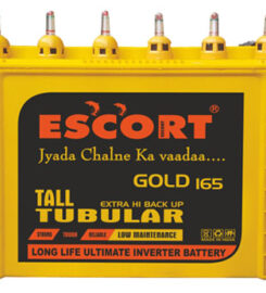 Escort batteries