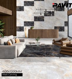 Pavit Ceramics Pvt Ltd | Tiles manufacturer