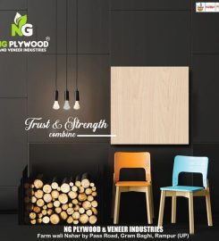 NG Plywood and Veneer Industries