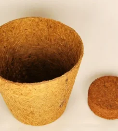 Neyyattinkara Coir Cluster