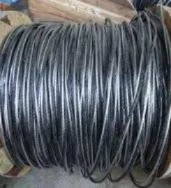 Rajasthan Cables And Conductors Private Limited