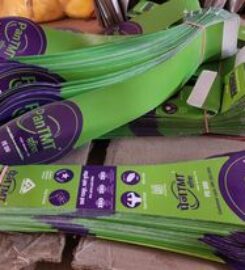 Shaurya Enterprises – TMT Tag manufacturer