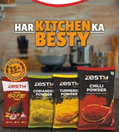 Zesty Foods & Spices LLP | Spices manufacturer