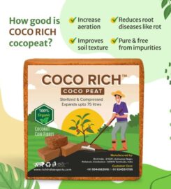 coco rich cocopeat