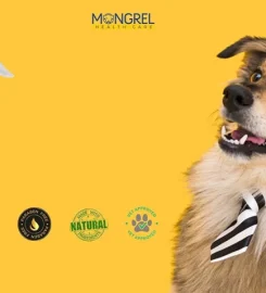 Mongrel Healthcare