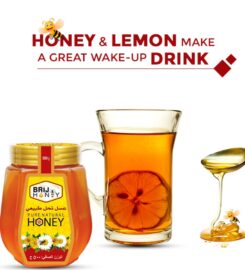 Brij Honey Pvt. Ltd.