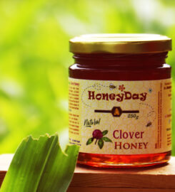 HoneyDay Bee Farms Pvt Ltd